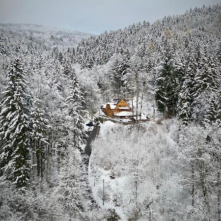 Pensjonat Alpejski Dwor Miedzygorze Kültér fotó