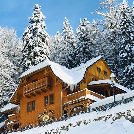 Pensjonat Alpejski Dwor Miedzygorze Kültér fotó