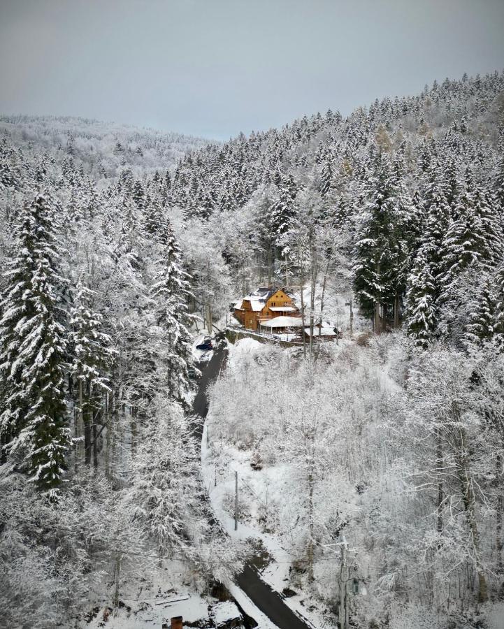 Pensjonat Alpejski Dwor Miedzygorze Kültér fotó