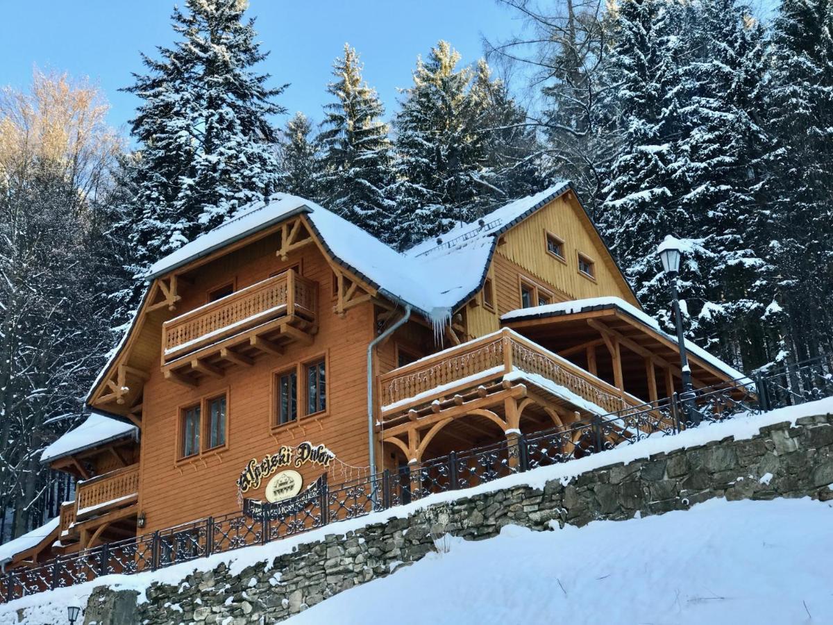 Pensjonat Alpejski Dwor Miedzygorze Kültér fotó