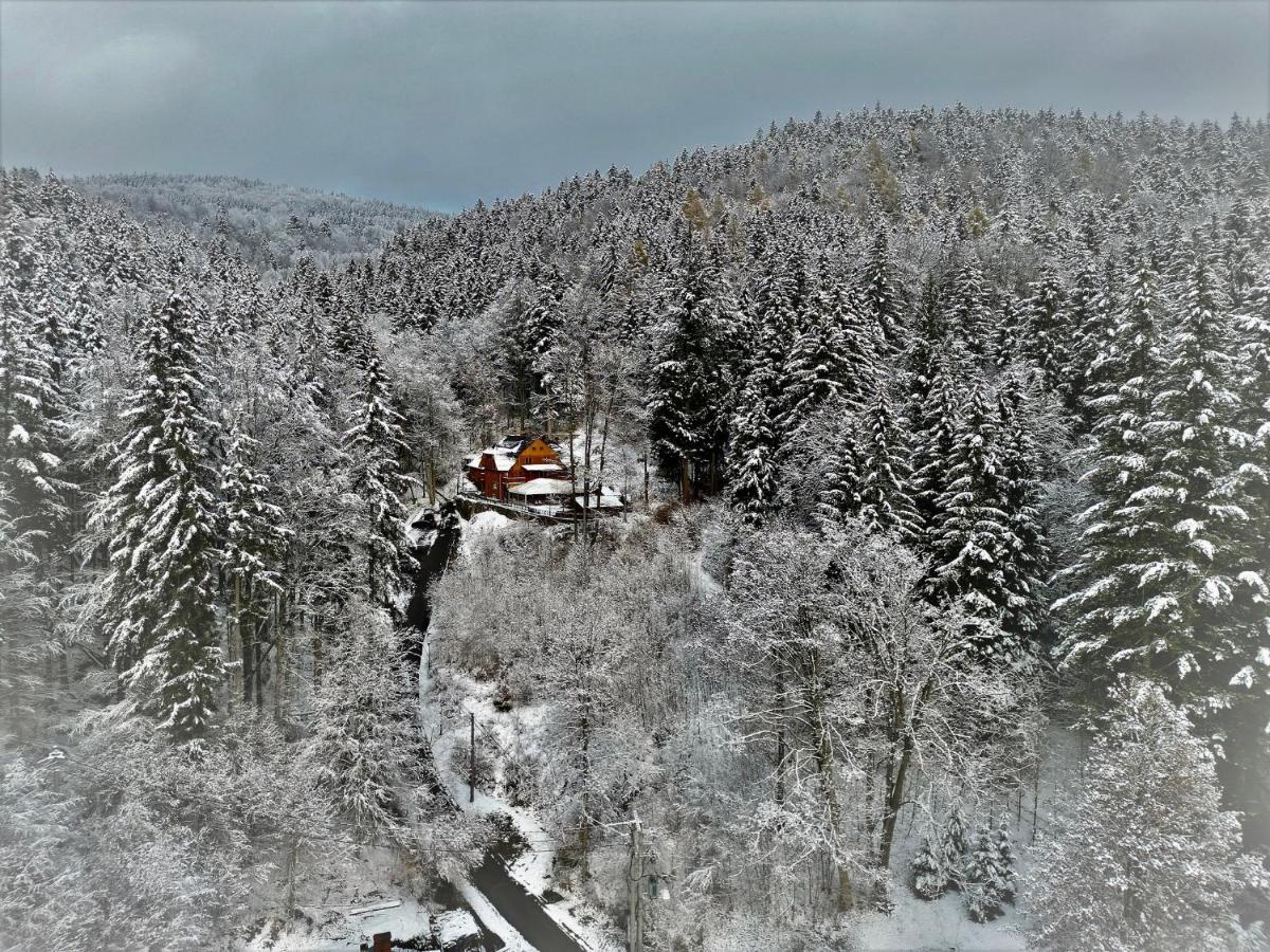 Pensjonat Alpejski Dwor Miedzygorze Kültér fotó