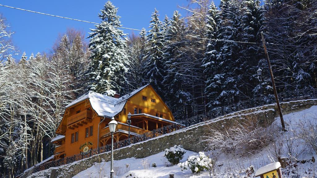 Pensjonat Alpejski Dwor Miedzygorze Kültér fotó