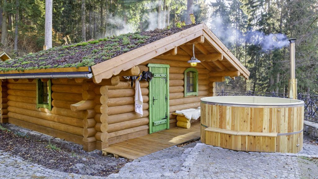 Pensjonat Alpejski Dwor Miedzygorze Kültér fotó