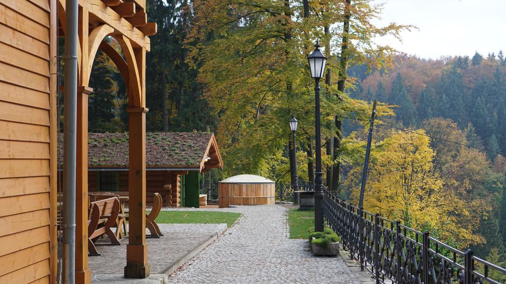 Pensjonat Alpejski Dwor Miedzygorze Kültér fotó
