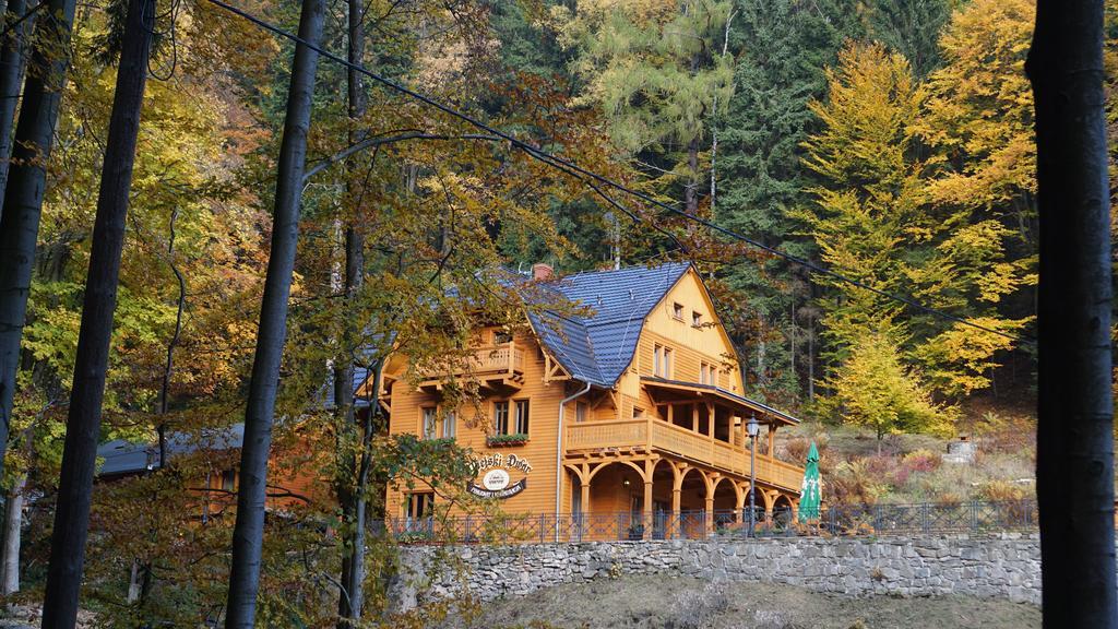 Pensjonat Alpejski Dwor Miedzygorze Kültér fotó