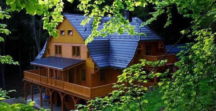 Pensjonat Alpejski Dwor Miedzygorze Kültér fotó